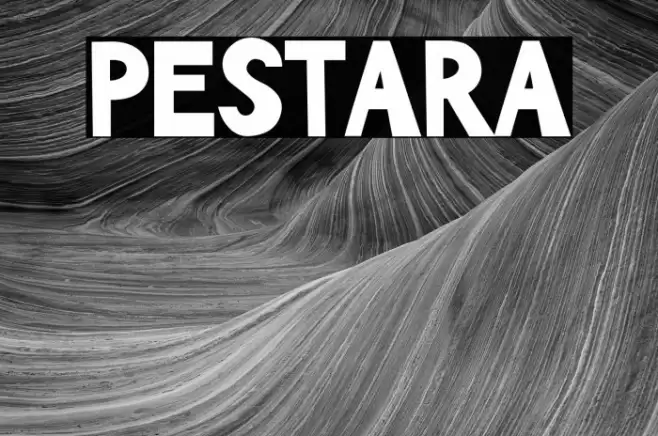 PESTARA Polices examples