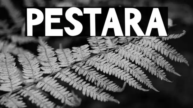 PESTARA Polices examples