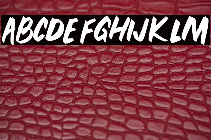 PEUNABRUSH-Regular Example 1