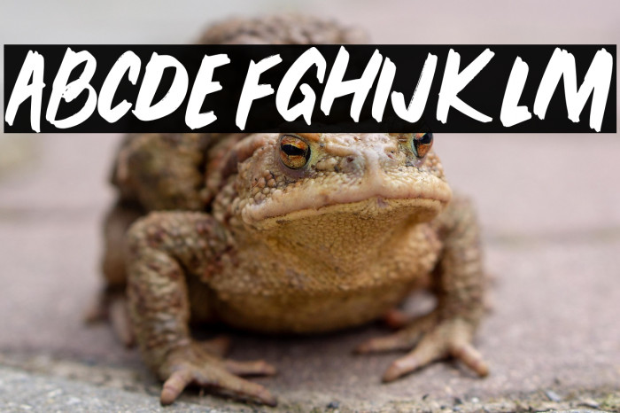 PEUNABRUSH-Regular Example 3