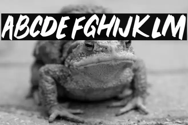 PEUNABRUSH-Regular Font examples