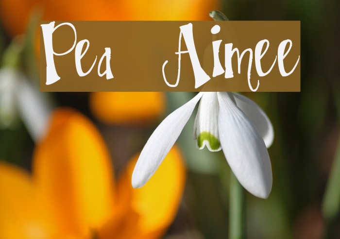 Pea Aimee Font examples