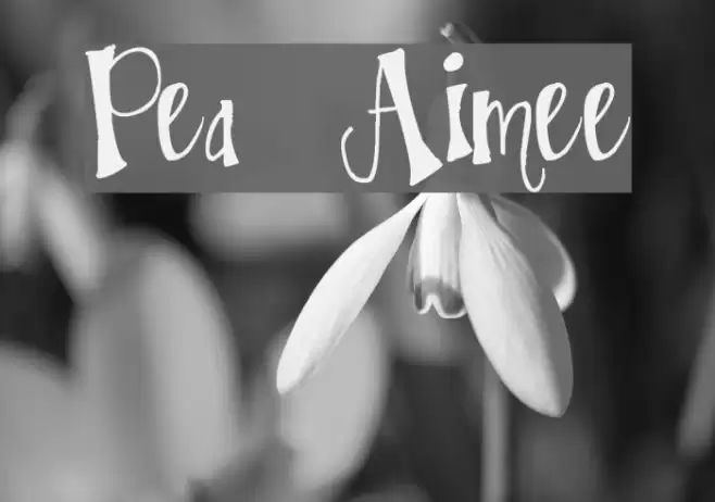 Pea Aimee Font examples