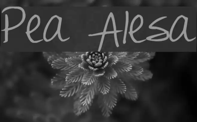 Pea Alesa Font examples