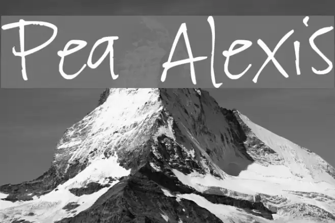 Pea Alexis フォント examples