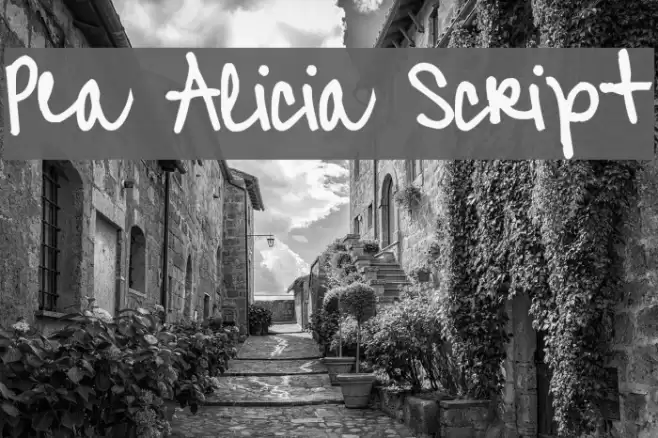 Pea Alicia Script Font examples