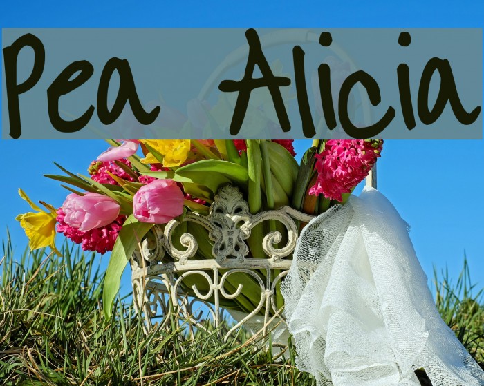 Pea Alicia Font examples