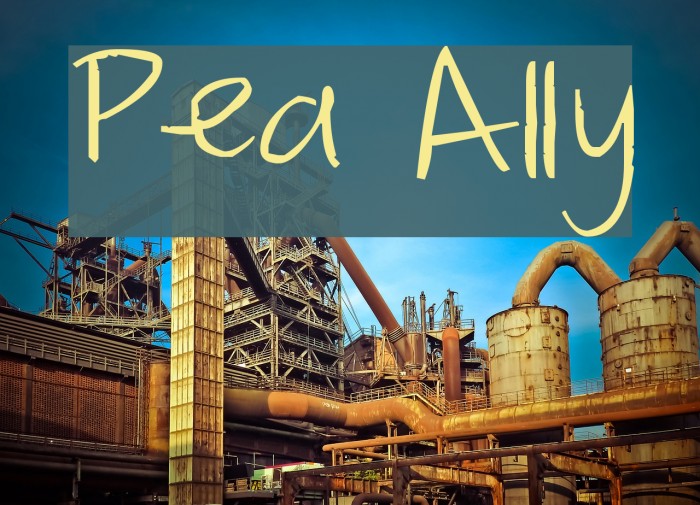 Pea Ally Font examples