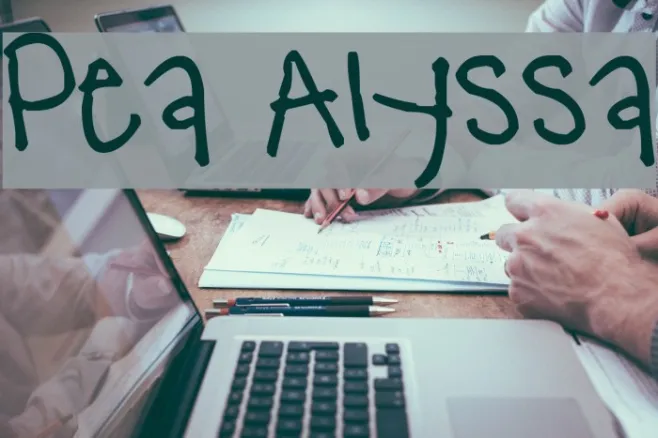 Pea Alyssa Example 3
