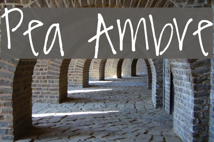 Pea Ambre Font examples