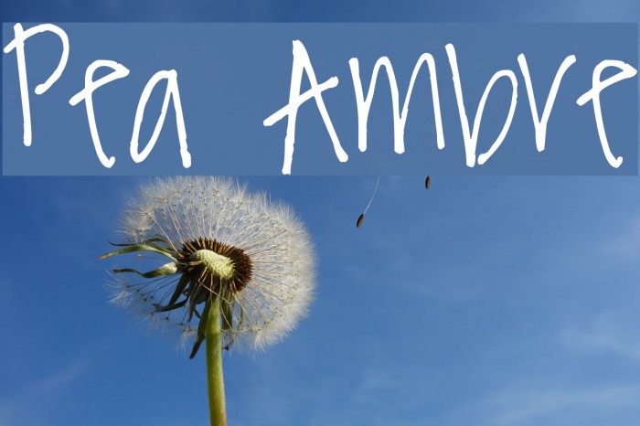 Pea Ambre Font examples