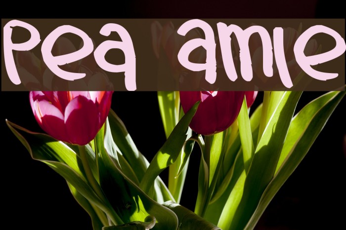 Pea Amie Font examples