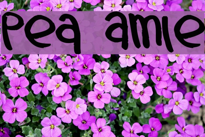 Pea Amie Font examples