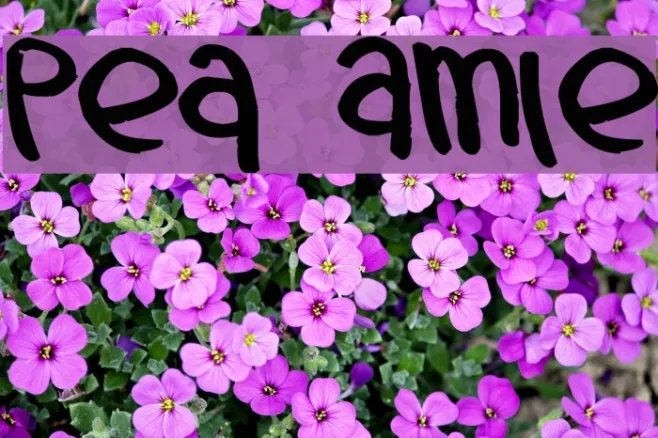 Pea Amie Example 2