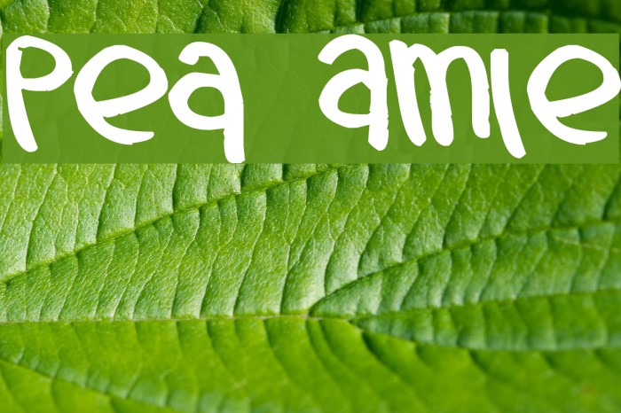 Pea Amie Font examples