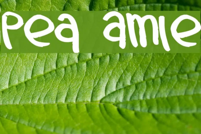 Pea Amie Example 3