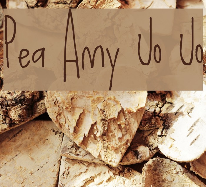 Pea Amy Jo Jo Font examples