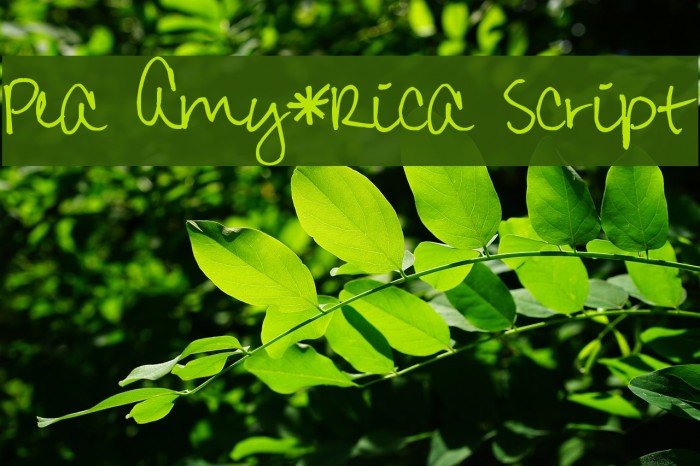 Pea Amy*Rica Script Font examples