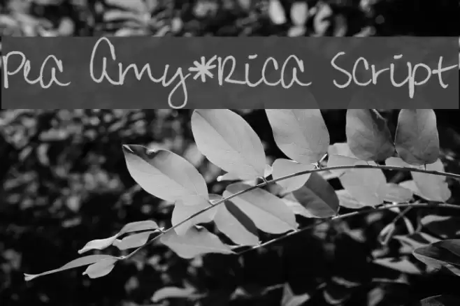 Pea Amy*Rica Script Font examples