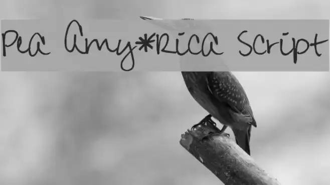 Pea Amy*Rica Script Font examples