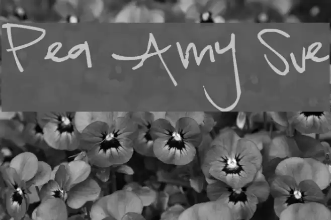 Pea Amy Sue Font examples