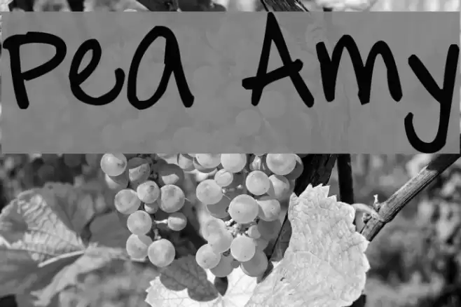 Pea Amy Font examples