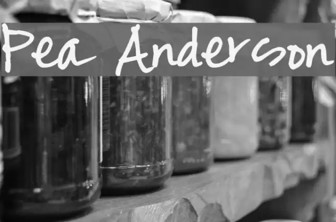 Pea Anderson Font examples