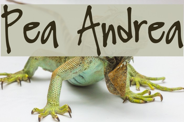 Pea Andrea Font examples