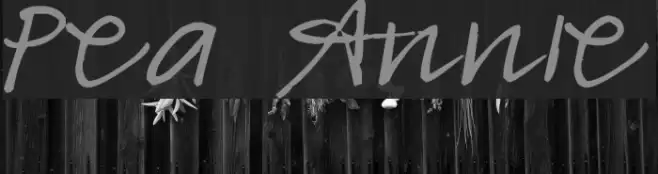 Pea Annie Font examples