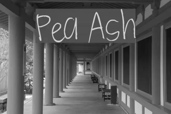Pea Ash Font examples