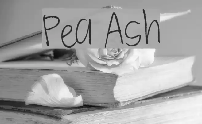 Pea Ash Font examples