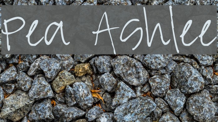 Pea Ashlee Example 3