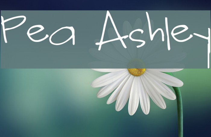 Pea Ashley Font examples
