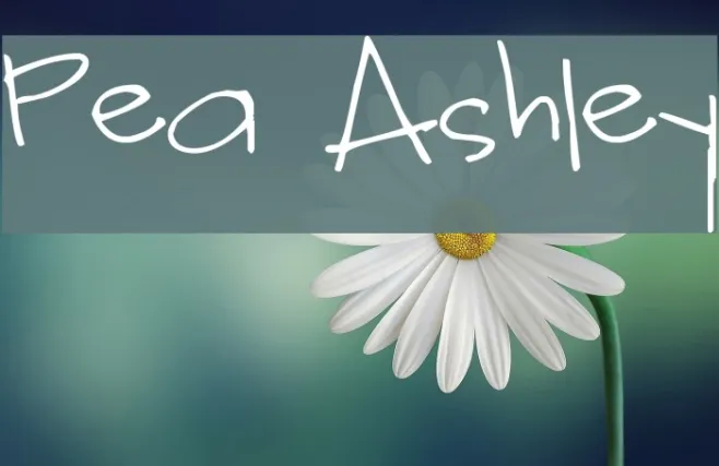 Pea Ashley Example 3