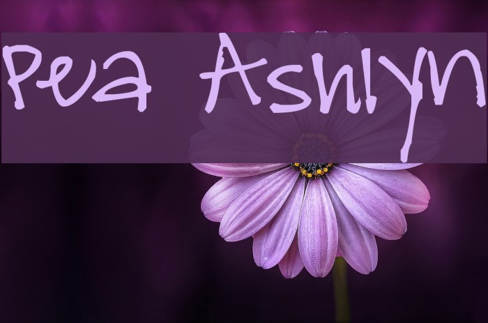 Pea Ashlyn Font examples