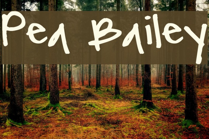 Pea Bailey Font examples