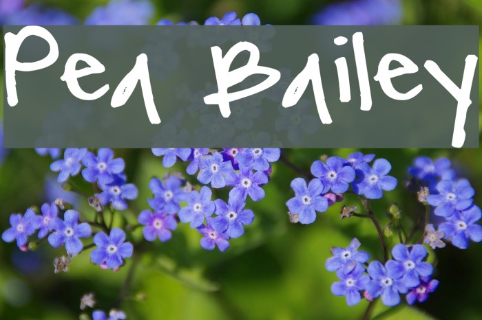 Pea Bailey Font examples