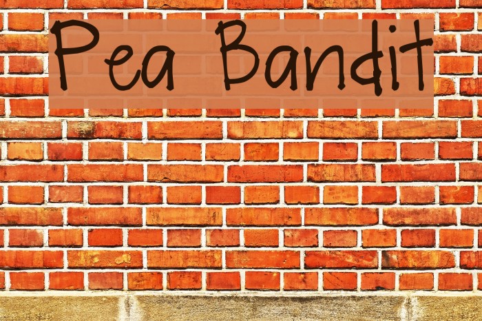 Pea Bandit Font examples