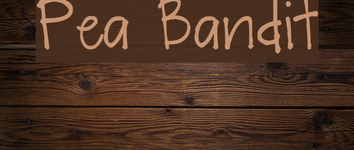 Pea Bandit Font examples