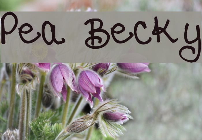 Pea Becky Font examples
