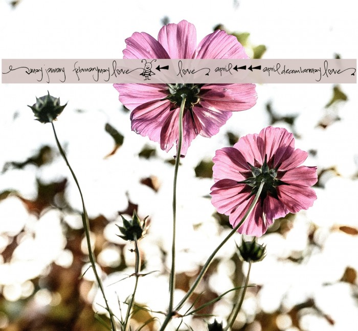 Pea Bestow's Doodles Example 1