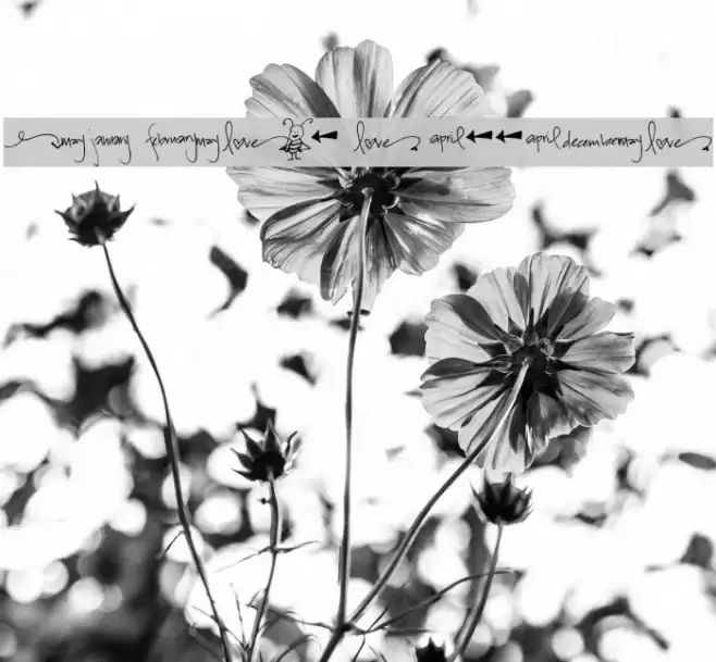 Pea Bestow's Doodles Font examples