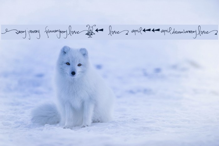 Pea Bestow's Doodles Example 3