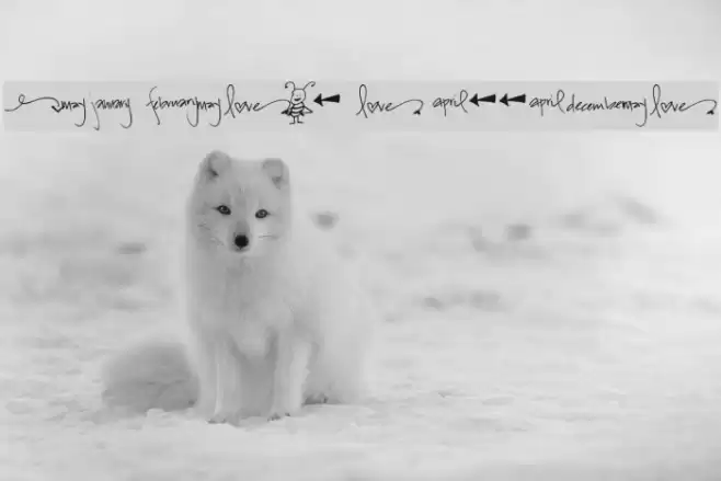 Pea Bestow's Doodles Font examples