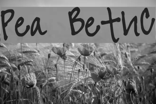 Pea BethC Font examples