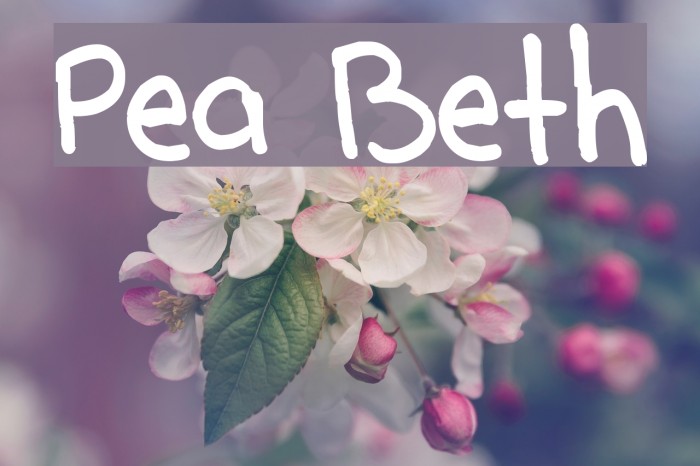 Pea Beth Font examples