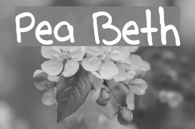 Pea Beth Font examples