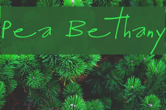 Pea Bethany Example 2