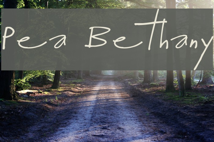 Pea Bethany Font examples