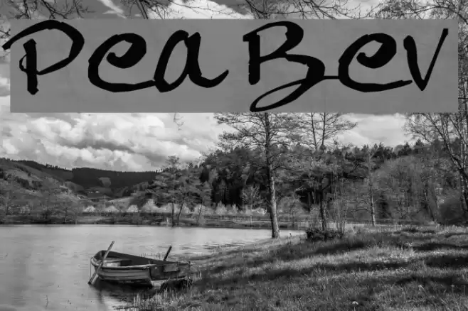 Pea Bev Font examples
